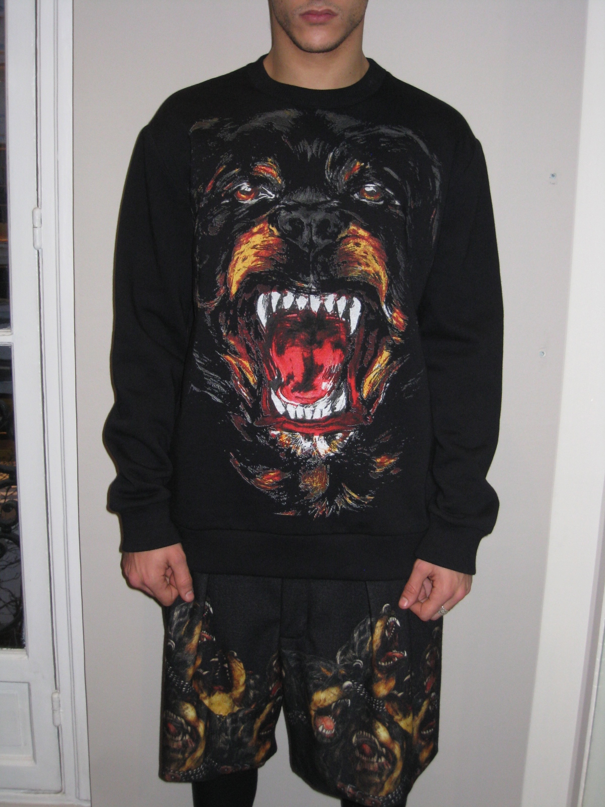 givenchy rottweiler 2011